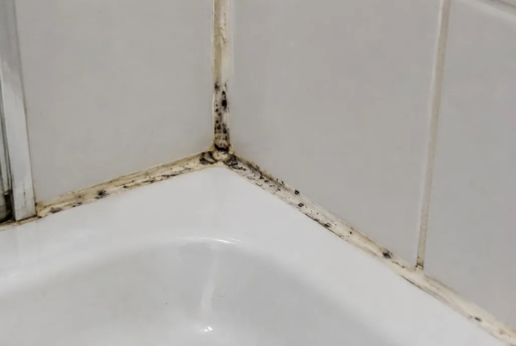 Kitbedrijf Baarn – beschimmelde kitranden
